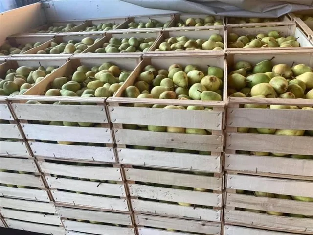 Kernobstbrände im Verkaufsregal