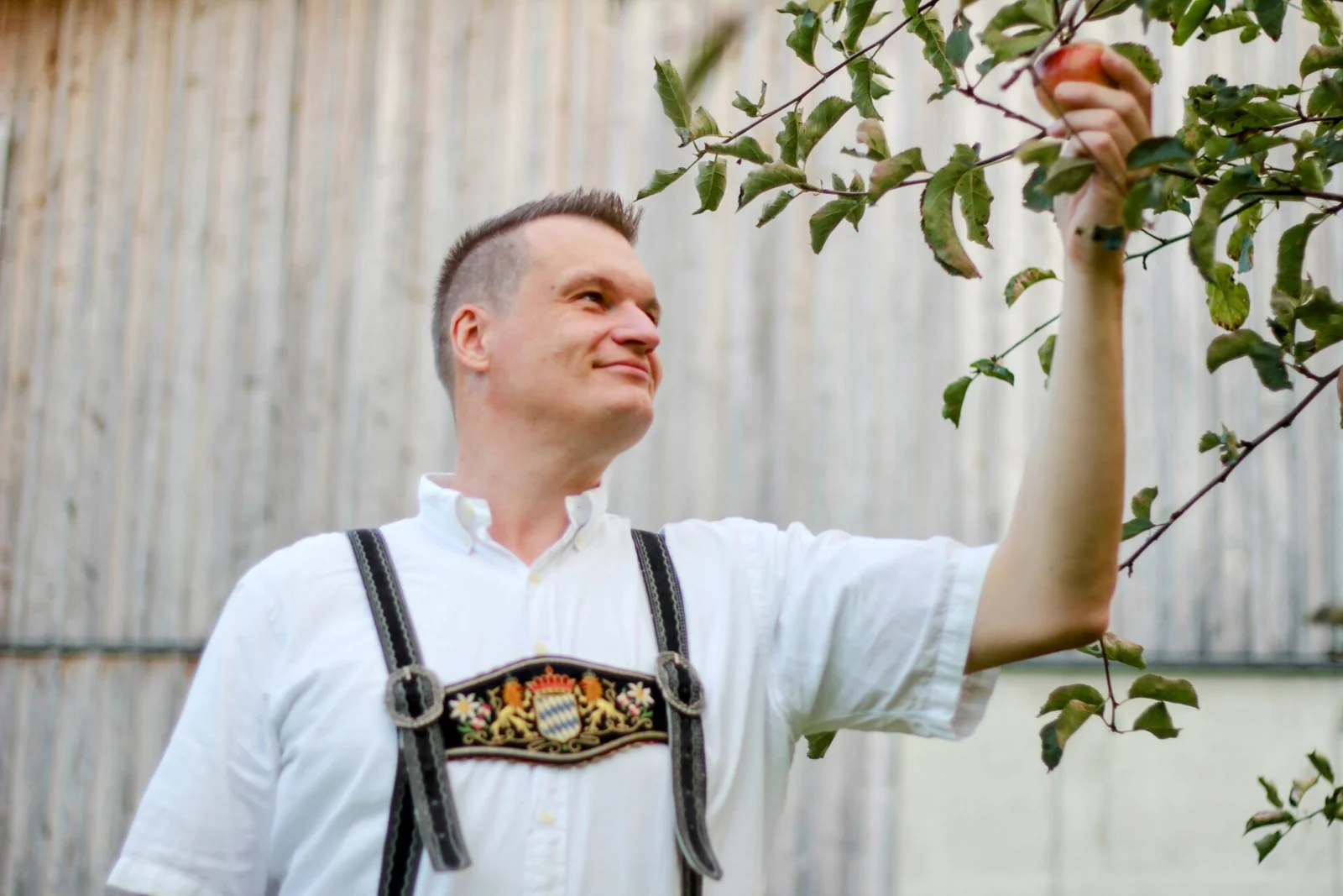 Andreas Huber pflückt einen Apfel im Obstgarten